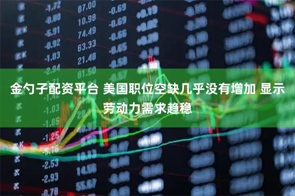 金勺子配资平台 美国职位空缺几乎没有增加 显示劳动力需求趋稳