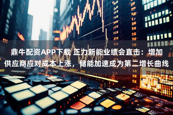 鼎牛配资APP下载 正力新能业绩会直击：增加供应商应对成本上涨，储能加速成为第二增长曲线